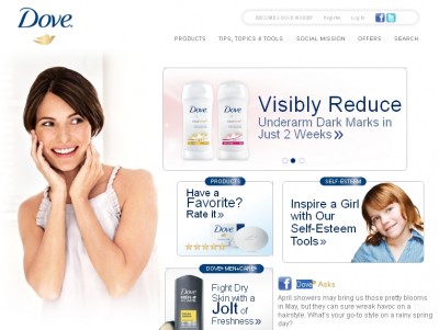 SSDove