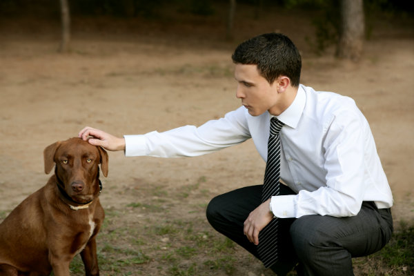 leadadvice-from-the-dog