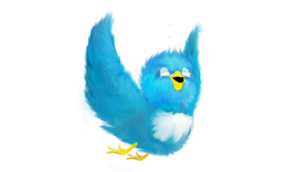 twitter bird