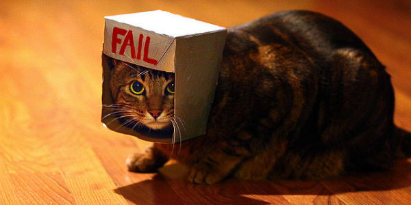 cat fail