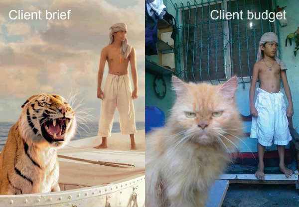 videolance expectations