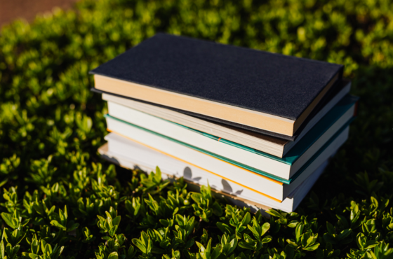 SEO Books For Startups